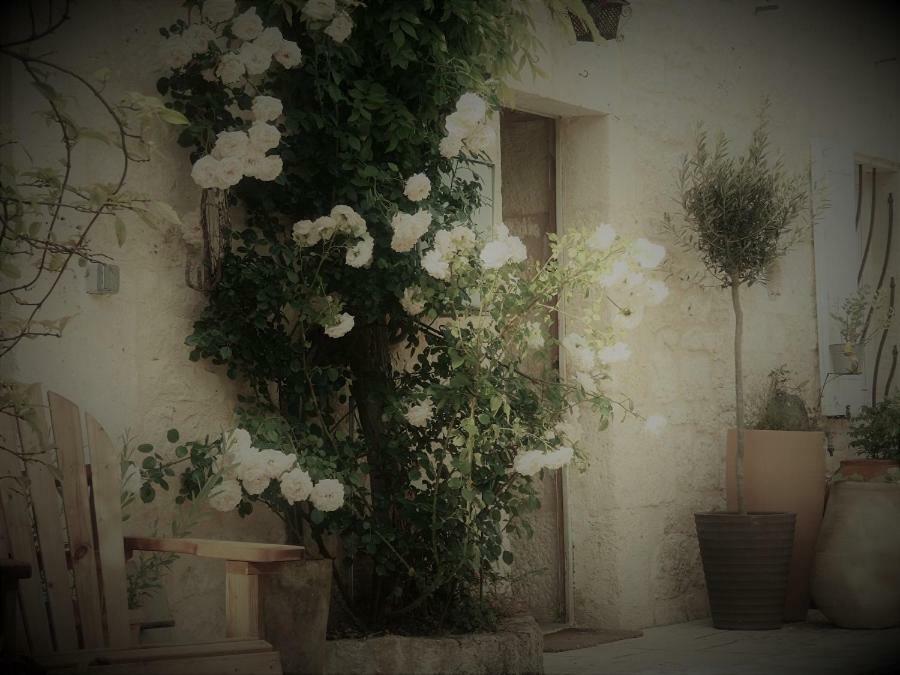 Bed and Breakfast Bastida De Beata Noailles  Exteriér fotografie